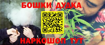 индика Моздок
