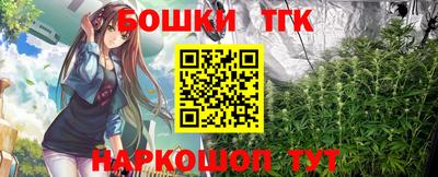 индика Моздок