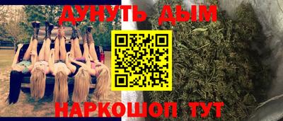 индика Моздок