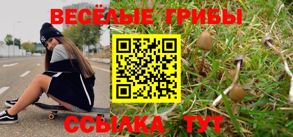 Псилоцибиновые грибы MAGIC MUSHROOMS  Вход с VPN  Бугуруслан 